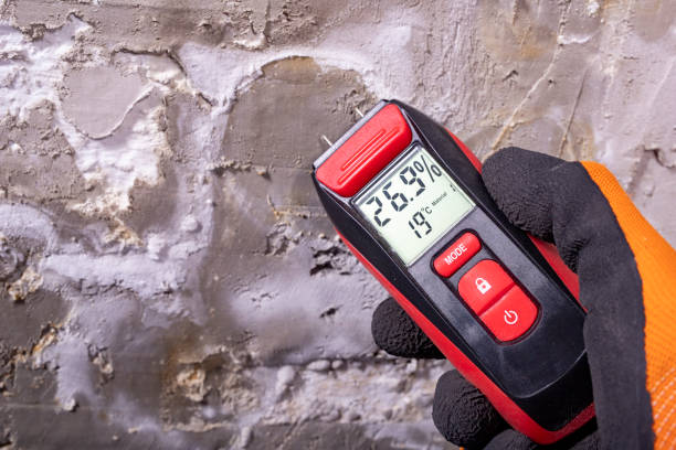 Best Home Mold Removal  in Oyster Creek, TX