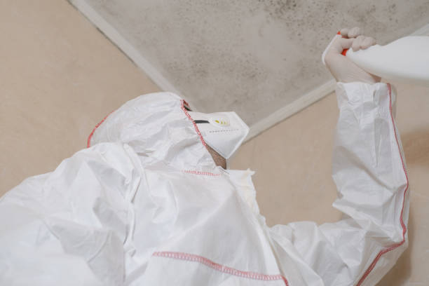 Best Crawl Space Mold Removal  in Oyster Creek, TX