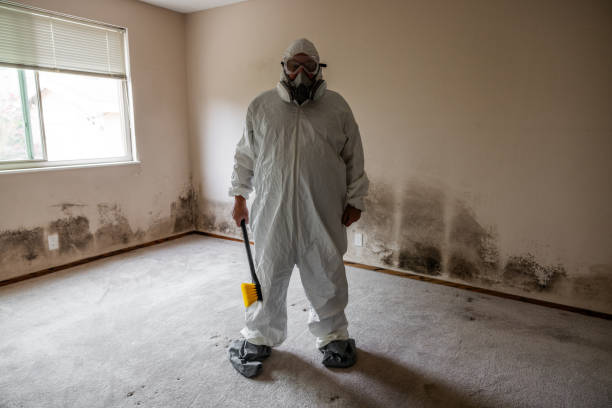 Crawl Space Mold Removal in Oyster Creek, TX